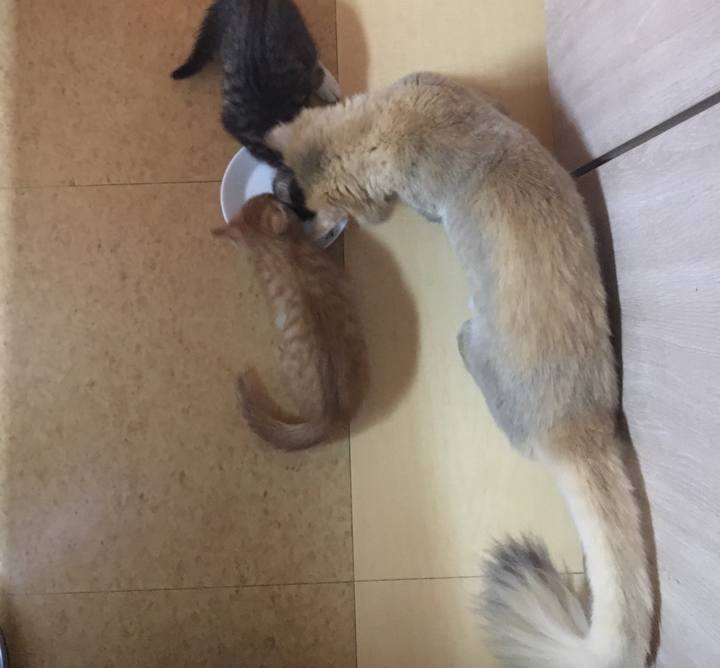 7c34fd06 8aa2 44a8 a963 b77a95198bb7