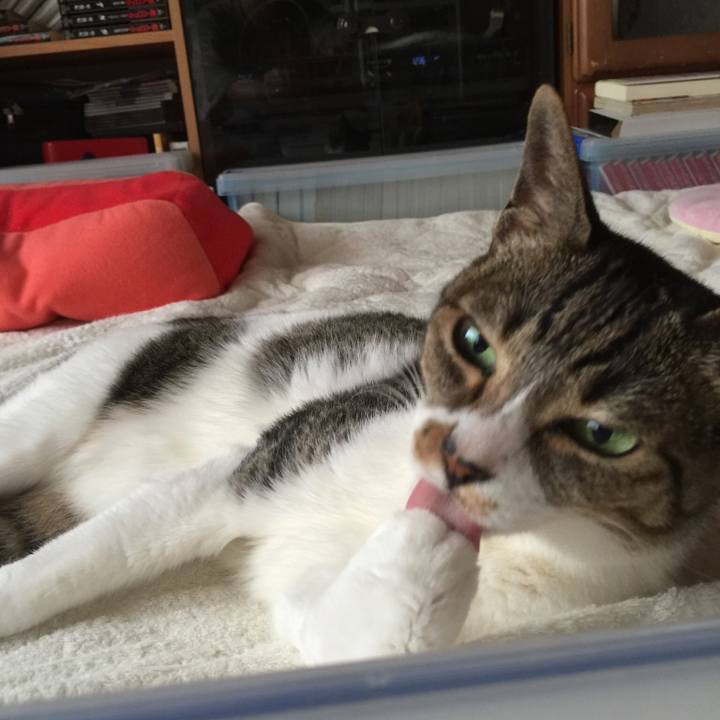 7c3529b2 e8c0 4118 8219 d3a33a53aea1