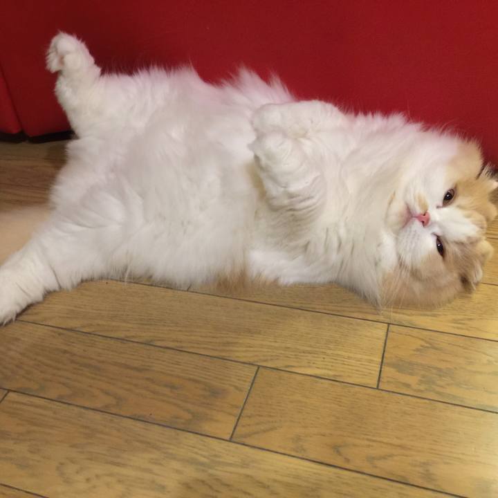 7c354a1d 8cb5 42da a1d2 3e30cc98e53a