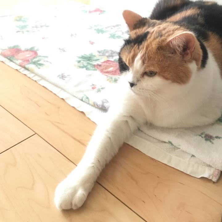 7c35b01b c4c7 4e0b b70a 9a500aa98da6