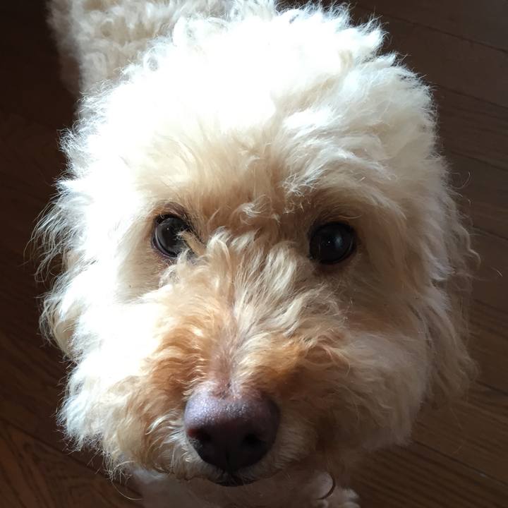 7c3605e9 22c5 4846 bc56 ec916260cb16