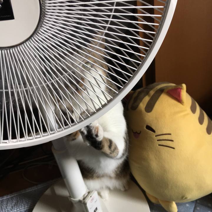 7c361e0a 5738 4f22 90f2 6d551f8f23c4