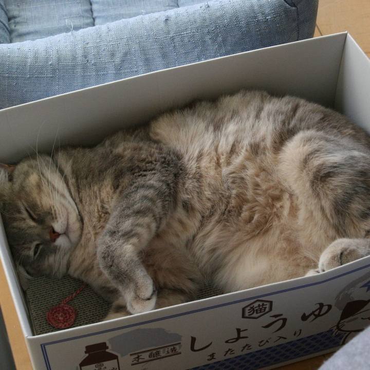 7c362a42 ef12 4853 9b97 e95fa4a2baa4