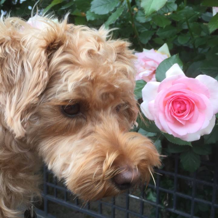 7c369bae 3a24 4a74 b684 0342cbd80e5b