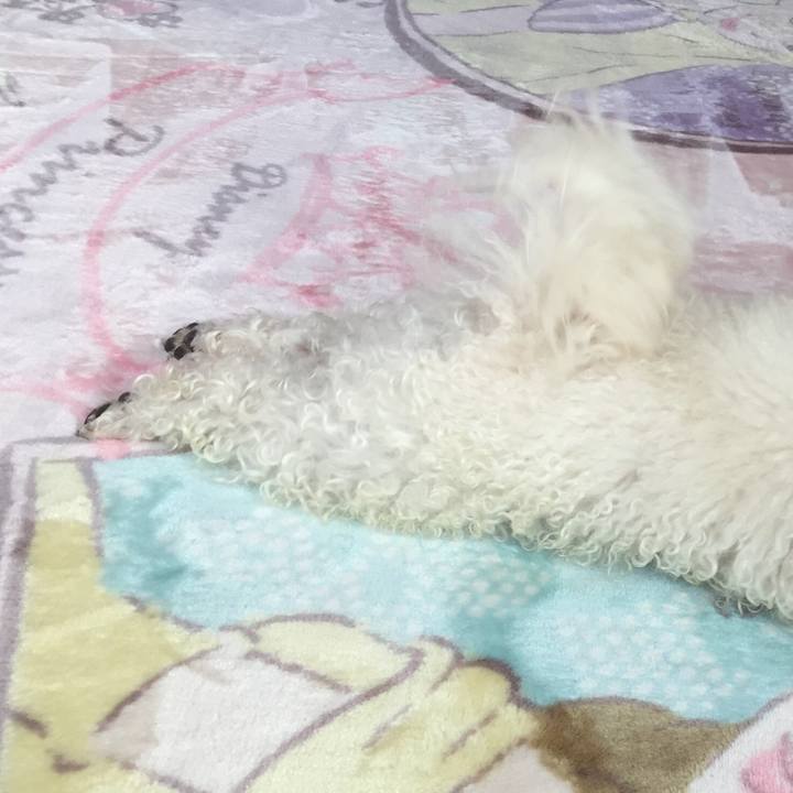 7c37196a 0ec5 4856 ba3b e20956a4a7a7