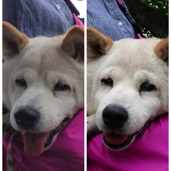 7c372701 e62d 45f8 94fc 0b57984deabd