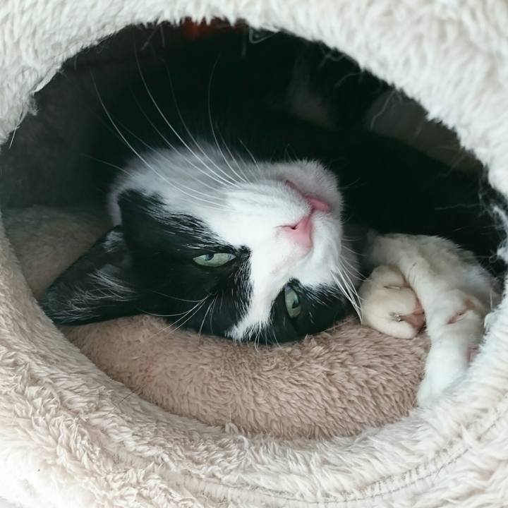 7c381b9f b4ff 4f37 9e0f 57f12c738c8a