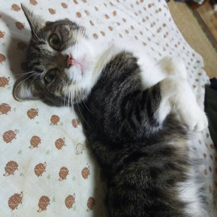 7c383a90 79e9 45ee 916c 5a1d08f200f5