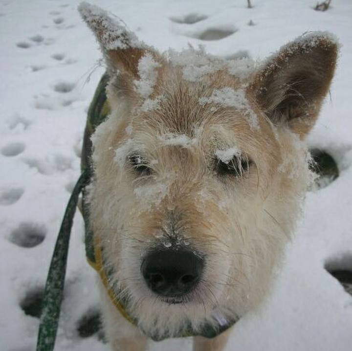 7c383bdf 4ec9 47d4 af42 a42c100b27b0