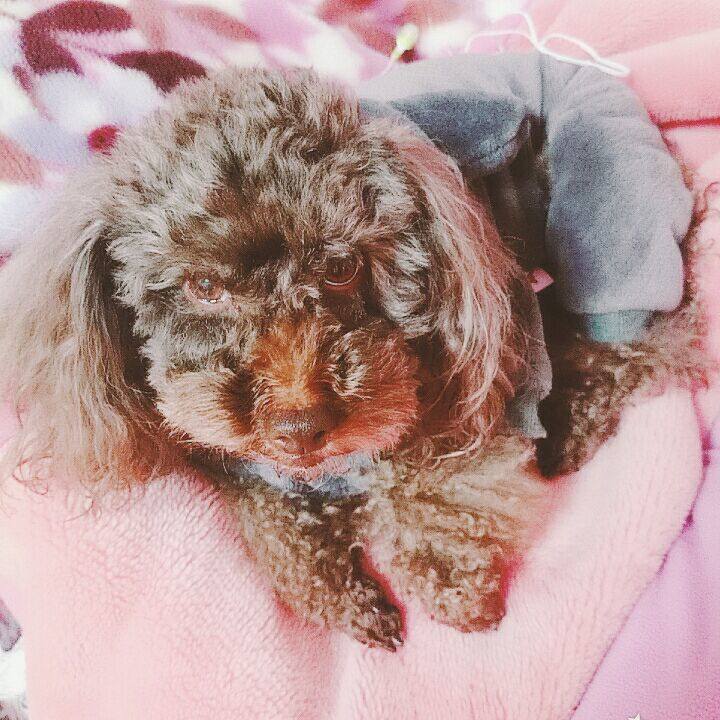 7c38d434 3060 468b 8bad c521d08ee777