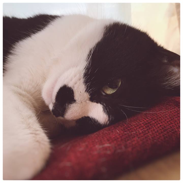 7c391017 6c21 4c61 b31e 7ac68cbc2038