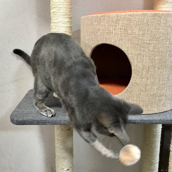 7c394061 f900 4afc 8598 0dfc1dd9ba13