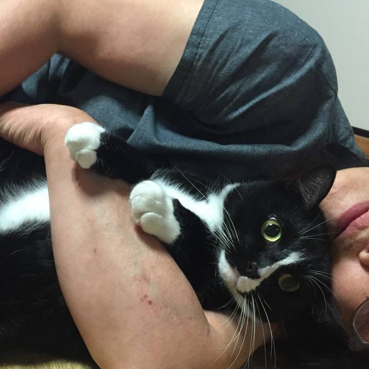 7c394e5c 5506 4756 93f5 0b0ccc31c377