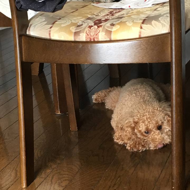 7c395205 f652 4128 9cfe bf546ed6da29