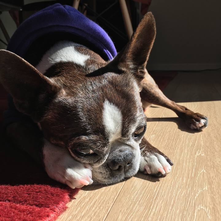 7c395b9b c6e3 41c7 a64c fde2ff38b5f9