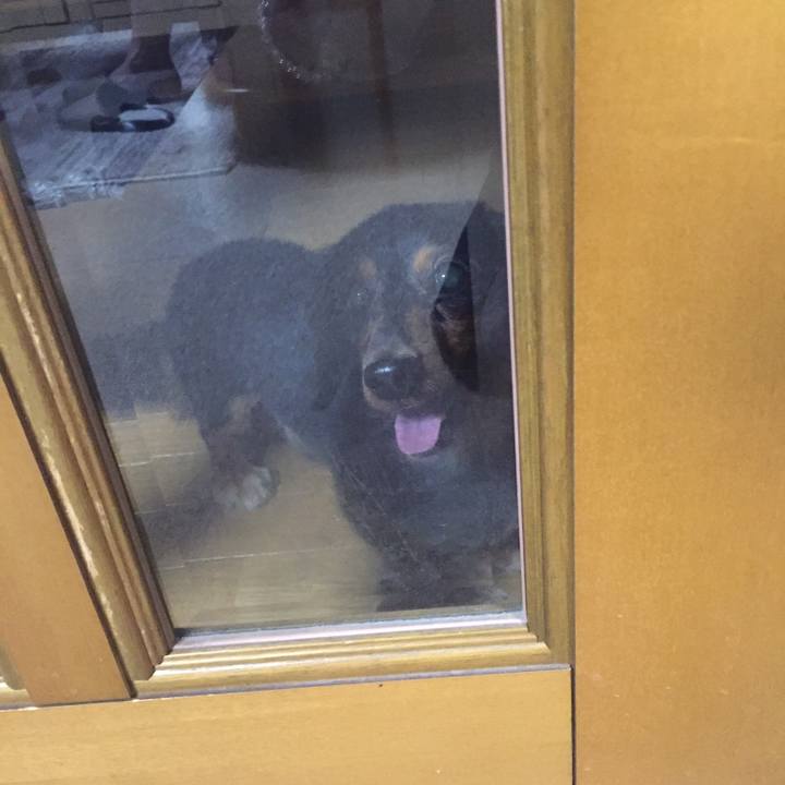 7c396272 dbc2 4e1e a81b 7024a9097e0d