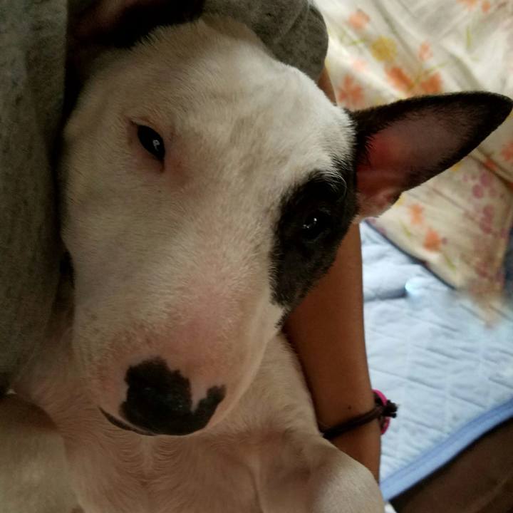 7c3993ef 3714 48b4 964d c643472c1d40