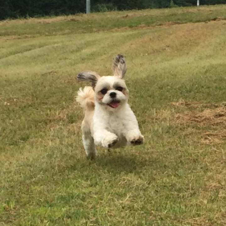 7c39e48f 0f90 4b26 a45a 1fbb5561003a