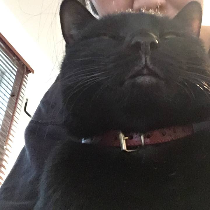 7c3afcc2 eca1 4d69 b04d 1248aa56a226