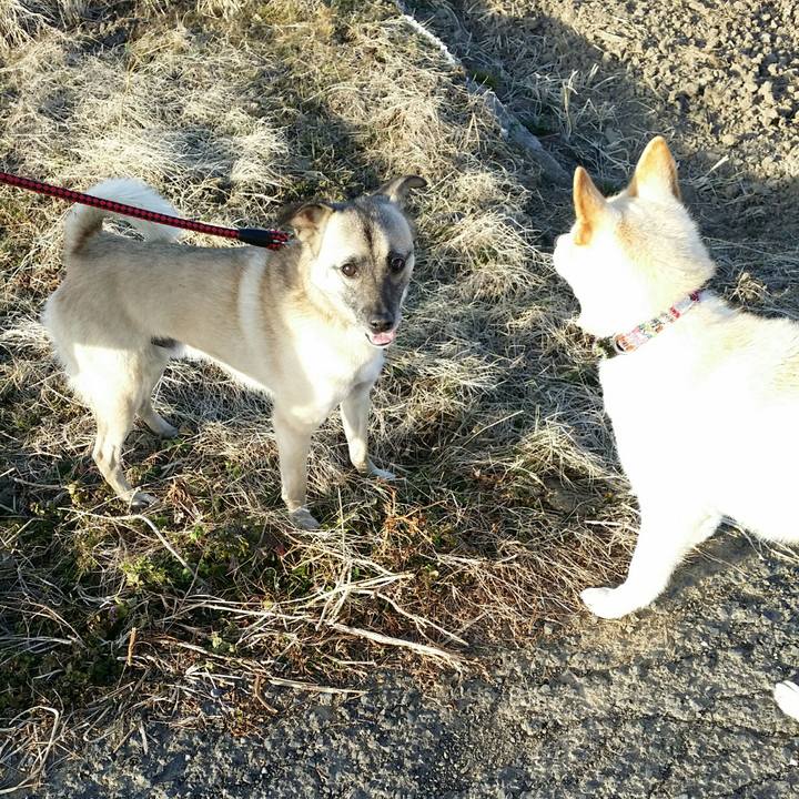 7c3b48f0 6be9 487c ac58 a3f0fe6604aa