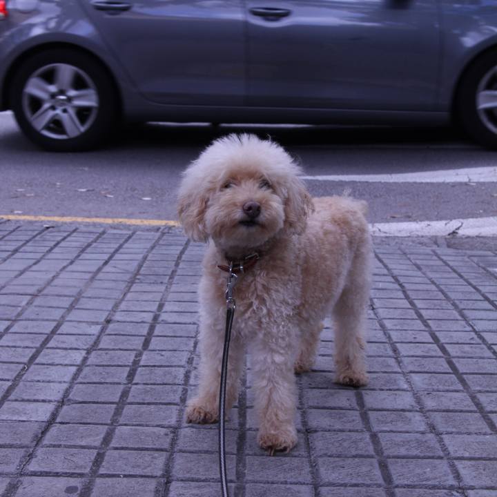 7c3b62eb 76c6 48dd 9eae bc0499288326