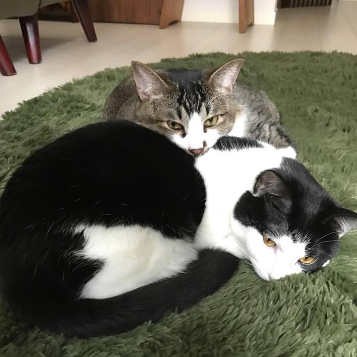 7c3b8962 a99a 478b 939b afc59f1c3105