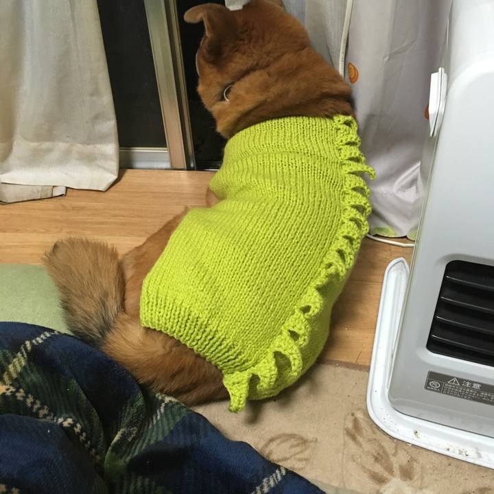 7c3bfa24 aa2a 4572 a795 b0abab4e3943