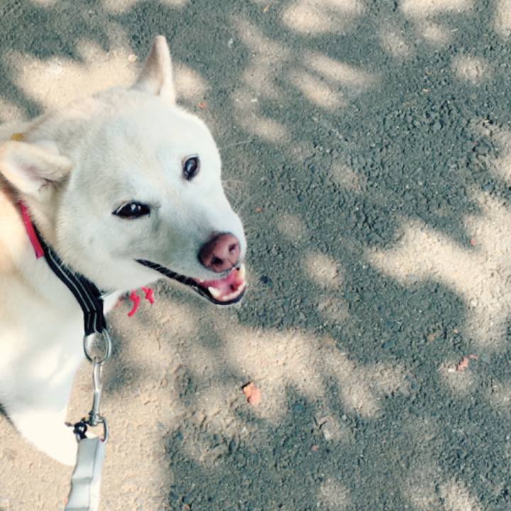 7c3dd519 1156 4441 ab3f bebd2dd3d49b