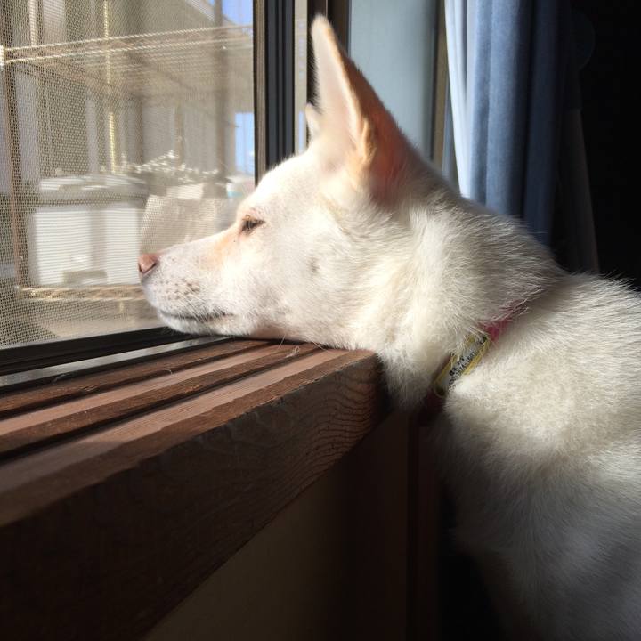 7c3e4b72 3e52 4da8 b13f 62b4619b73ad