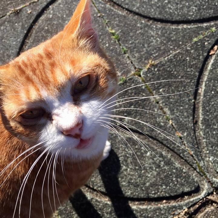 7c3f1cb5 d2b6 4188 b00d 7446ae172757