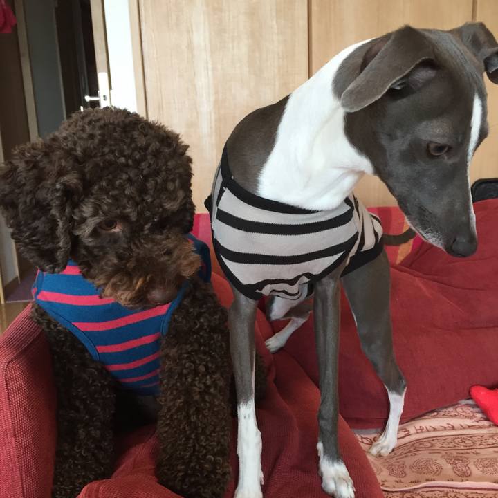 7c3f28e3 dd70 4c99 acbc 22ee460a21f4