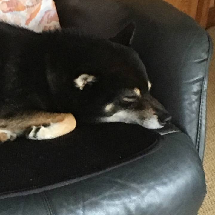 7c3ffc5a 0d88 4d62 90ec 122a217d2280