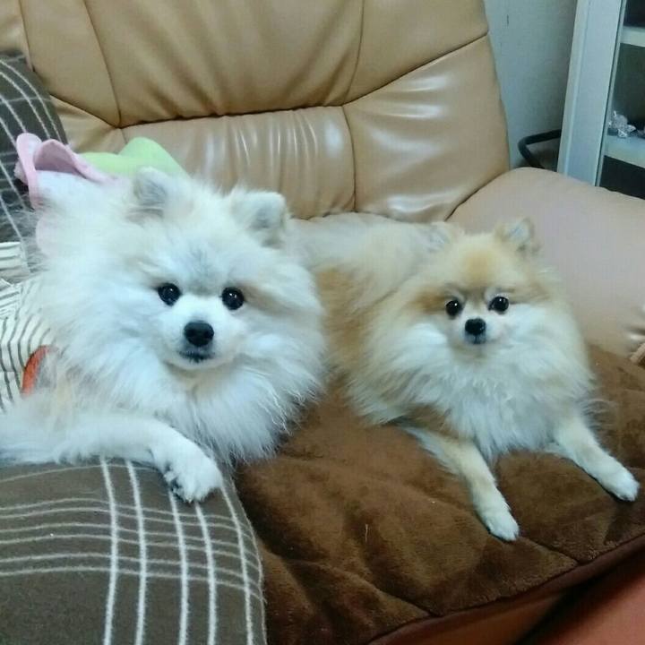 7c4023e2 e43e 4392 81e6 115d85f2f05f