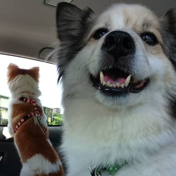 7c40bf54 b199 402a 9ca2 a22543f17aa7