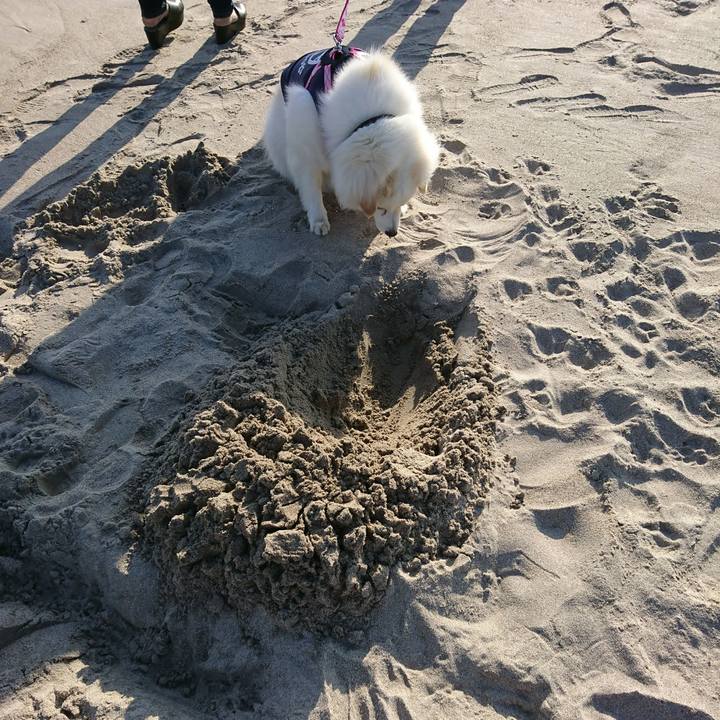 7c40eb59 6b4d 463b b51e 9c9ea02691b7