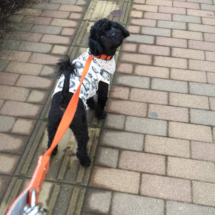 7c4187ab f3d8 4b0d 9b16 a7e8695b9194