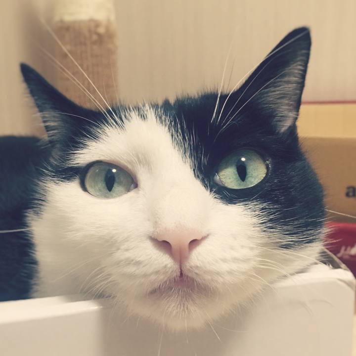 7c41887e 8192 4531 890d 2a8ff52a7a88