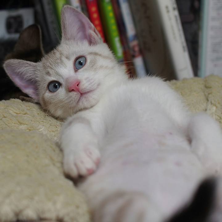 7c424d25 8672 41b3 aaac ffe0a80c4c4f