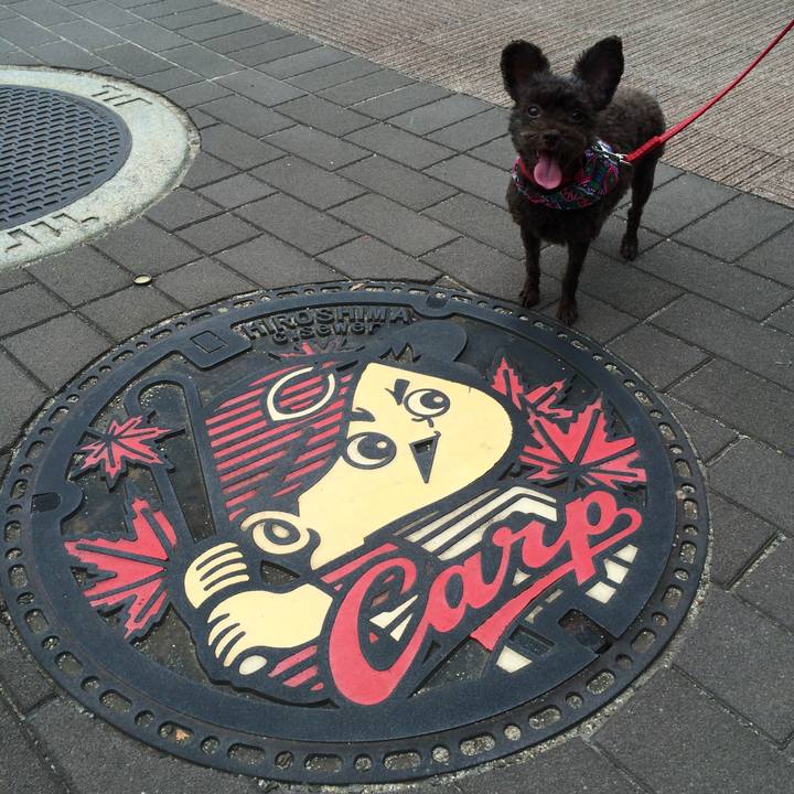 7c42fb68 785a 4525 97d2 831e5812a3b1