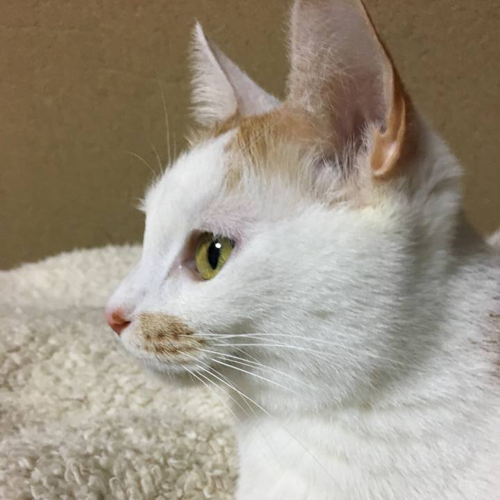 7c432f8c 6c40 4239 a9b6 ee53f3e4cefb