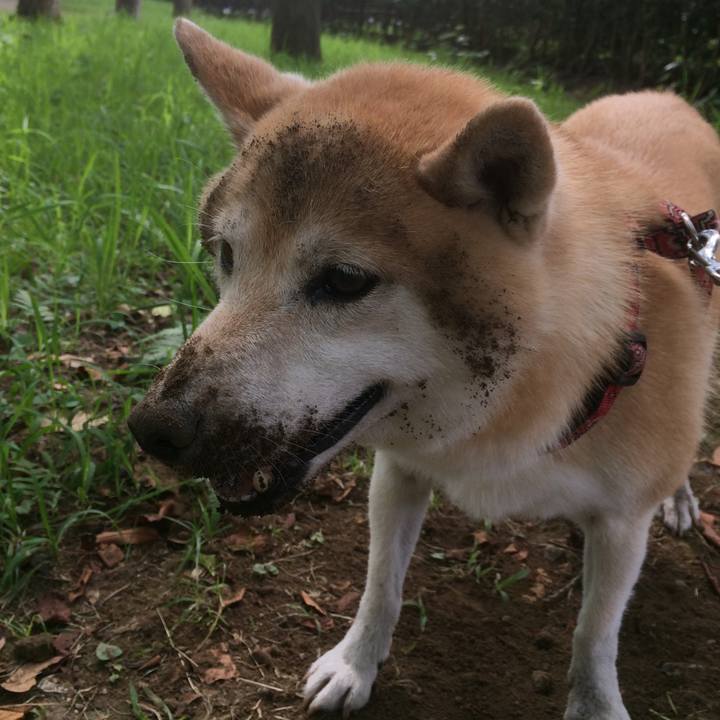 7c438497 60f8 4f0a 933b 8a677fc14068