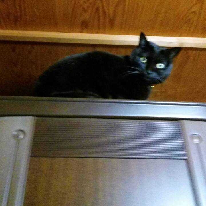 7c43b9f1 c192 4039 a96c 3a88900663a2