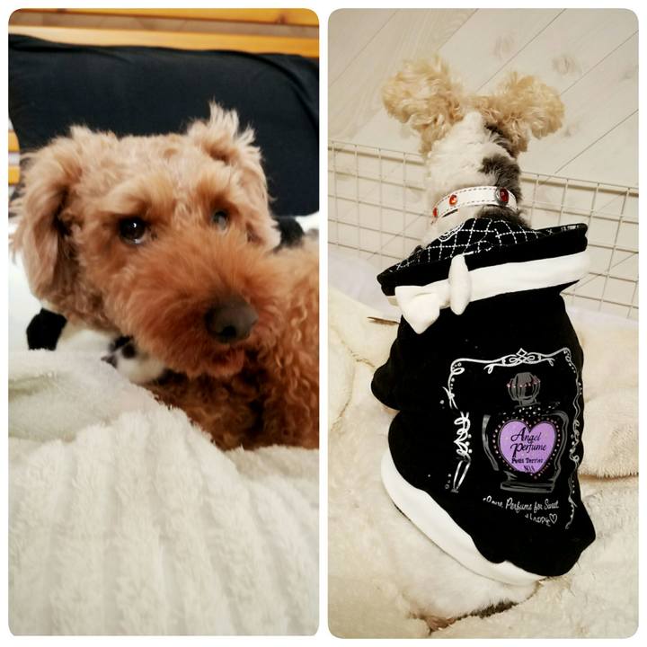 7c442018 b838 49ab 9e37 57bee67775f7