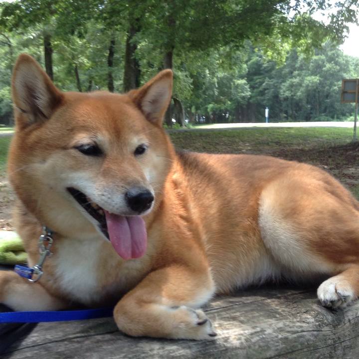 7c443860 a90b 44bc 9af7 c5033176cdc4