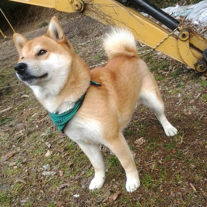 7c446a25 3986 4a3e a537 36abe15fb8d7