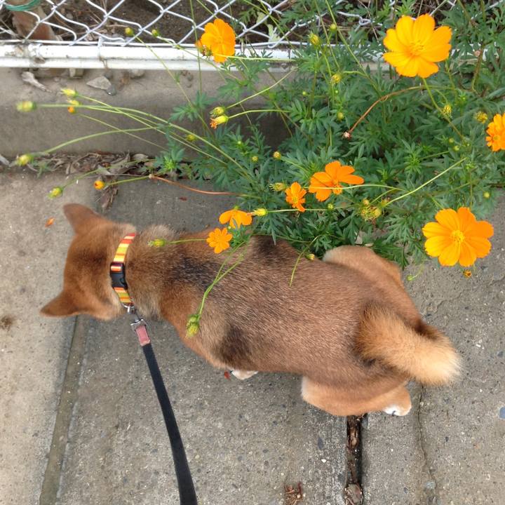 7c44bb35 d4fa 46c7 980e aa19510f7e00