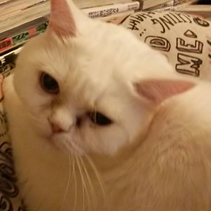 7c45e583 c206 47c1 b9f7 c9e625f03402