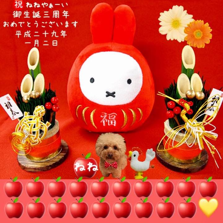 7c4620f1 1c14 4961 9164 6aceaaf2f47d