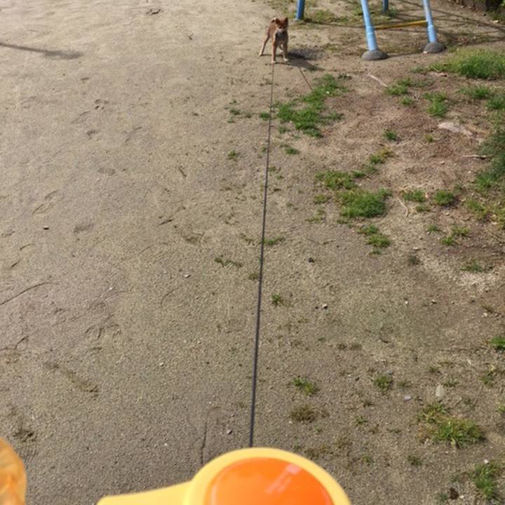 7c4624c6 b765 4775 915c 847ae9a3db01