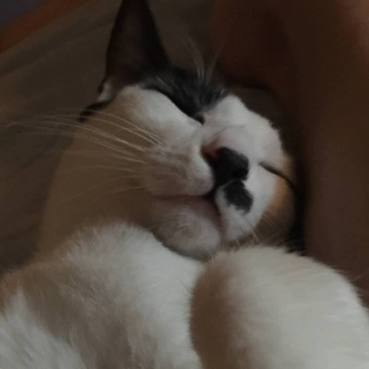 7c464468 2c60 4e3c 8813 b26f7746df42